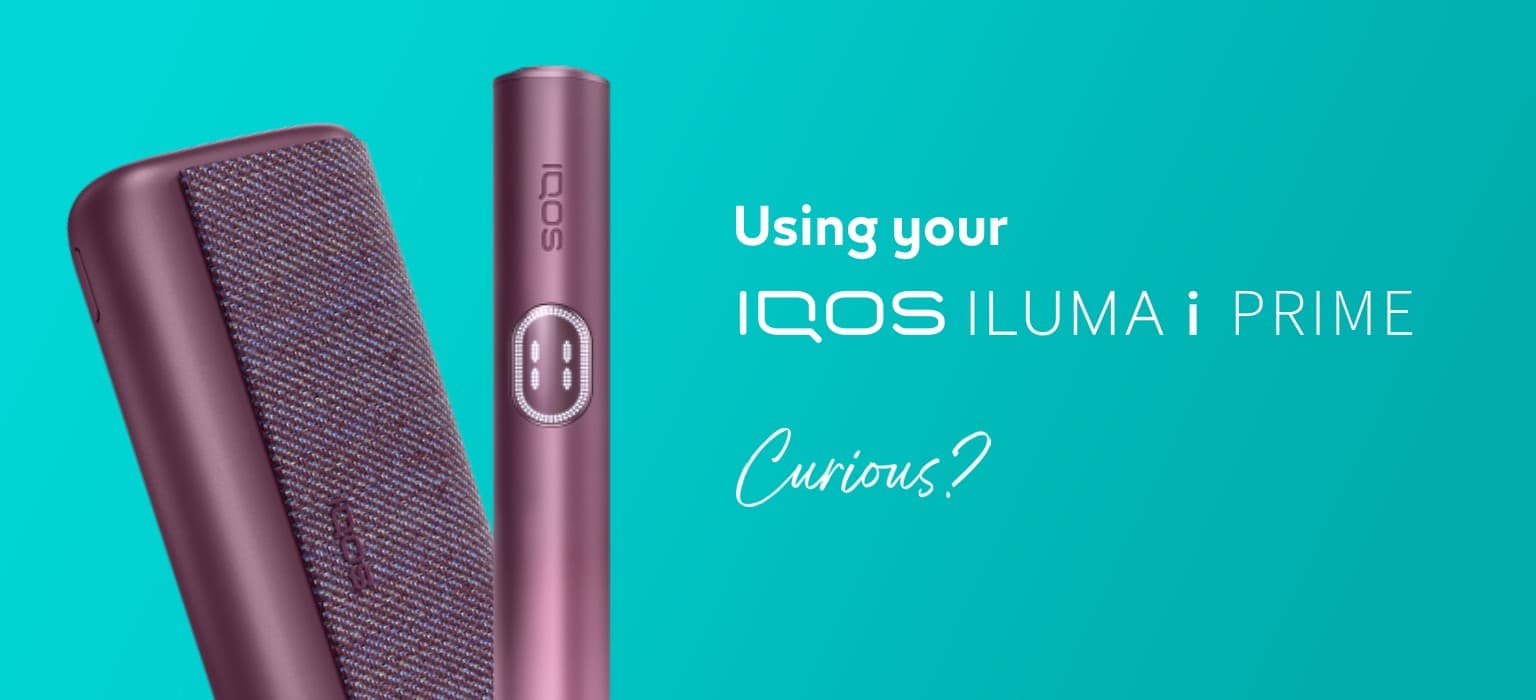IQOS Iluma Prime ต่างกับรุ่นธรรมดายังไง เปรียบเทียบครบทุกมุมก่อนซื้อ